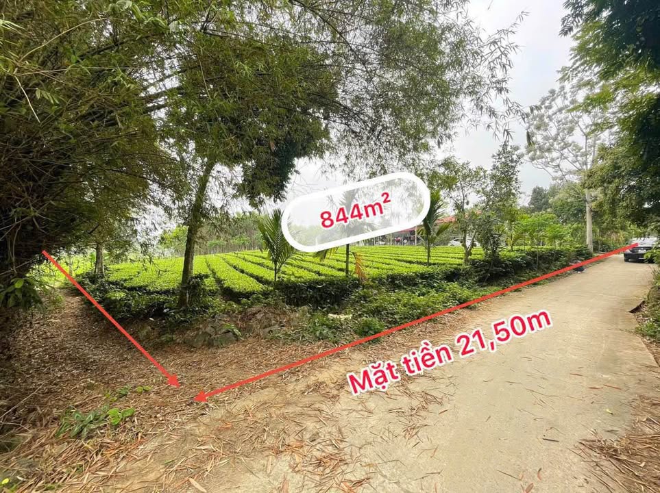 Đất nền Phú Thành, Lạc Thủy 844m² - Vị trí đắc địa gần ủy ban xã!