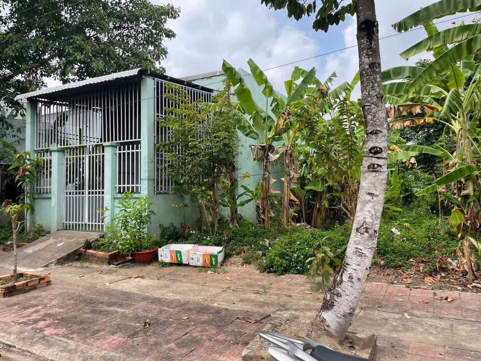 Đất nền đường số 2, KDC Tân Xuyên, Cà Mau 119m² - Giá chỉ 870 triệu!