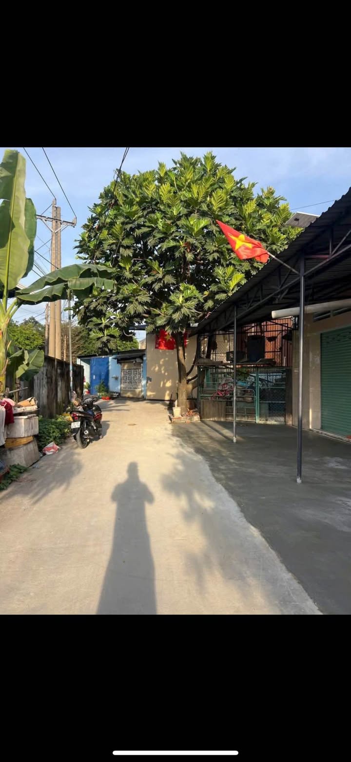 Cặp trọ đường Bình Chuẩn 17, Thuận An 387m² giá 5.5 tỷ - Đầu tư sinh lời ổn định!