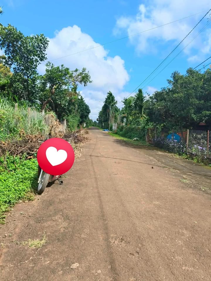 Đất nền xã Ea Ktur 385m² giá chỉ 360 triệu - Đầu tư sinh lời ngay!