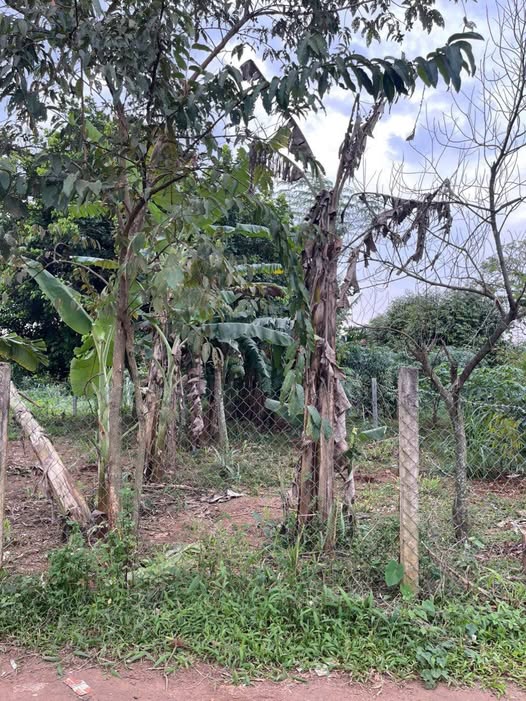 Đất nền Hòa Khánh Buôn Ma Thuột 260m² giá 1.15 tỷ - Đầu tư sinh lời ngay!