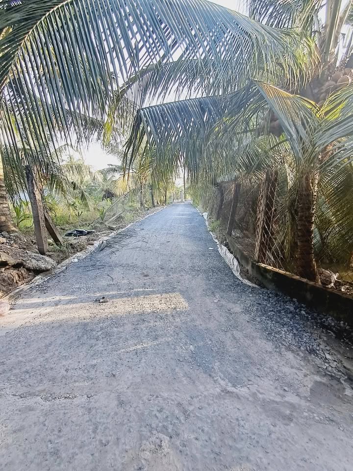 Đất nền Long Hòa A, Đạo Thạnh, Mỹ Tho 100m² giá 500 triệu - Đầu tư sinh lời ngay!