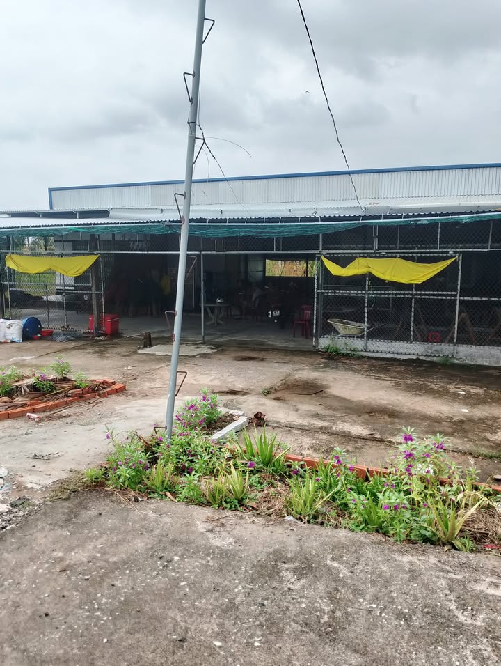 Đất nền 1500m² xã Đông Hòa An Minh - Đầu tư trại tôm sinh lời!