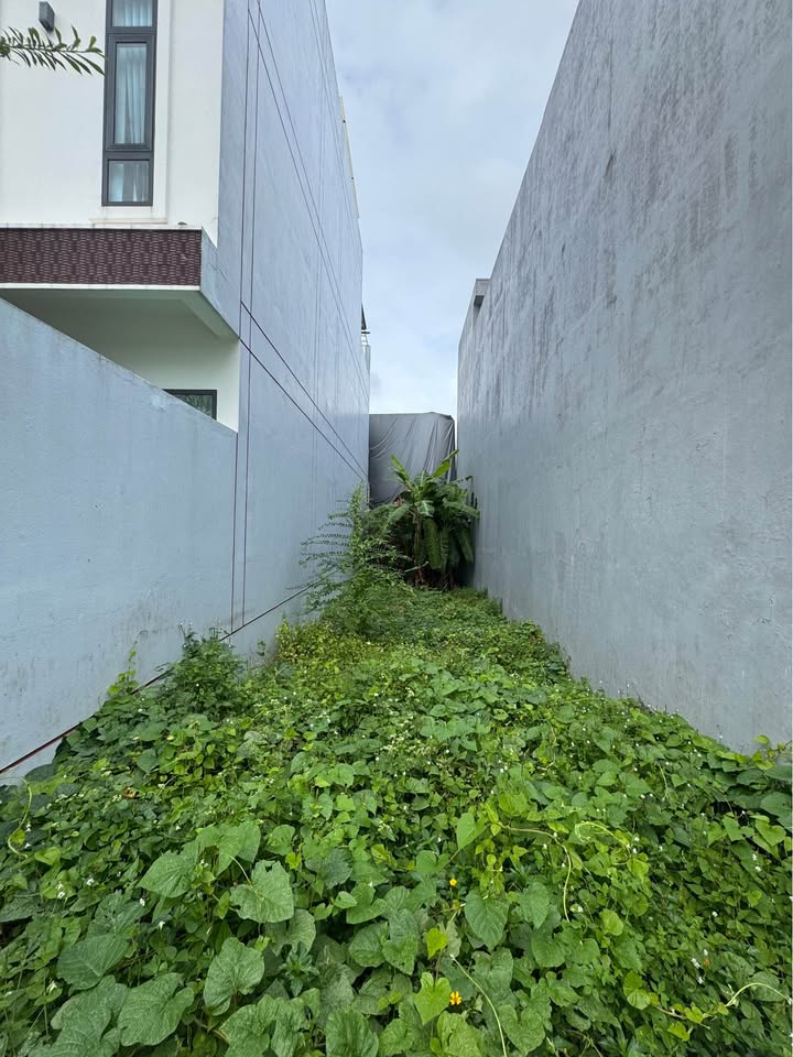 Đất nền khu dân cư Hòa An, Cao Lãnh 97.24m² giá 2.15 tỷ - Nở hậu, hướng Đông Nam!