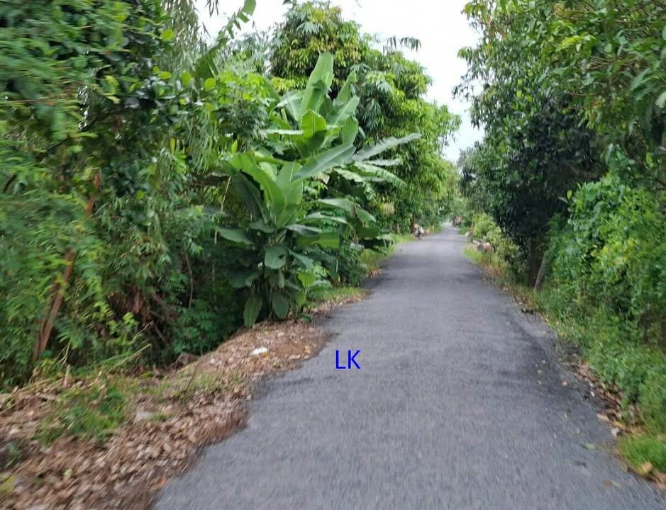 Đất nền 1300m² xã Mỹ Hiệp, Đồng Tháp giá 1.05 tỷ - Cơ hội đầu tư hấp dẫn!