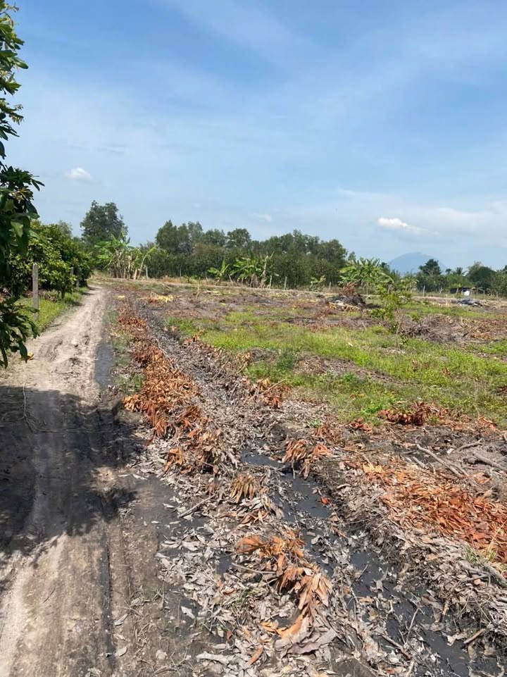 Đất nền Năm Trại, Long Hoa, 30,000m² giá 1.188 tỷ - Cơ hội đầu tư hấp dẫn!