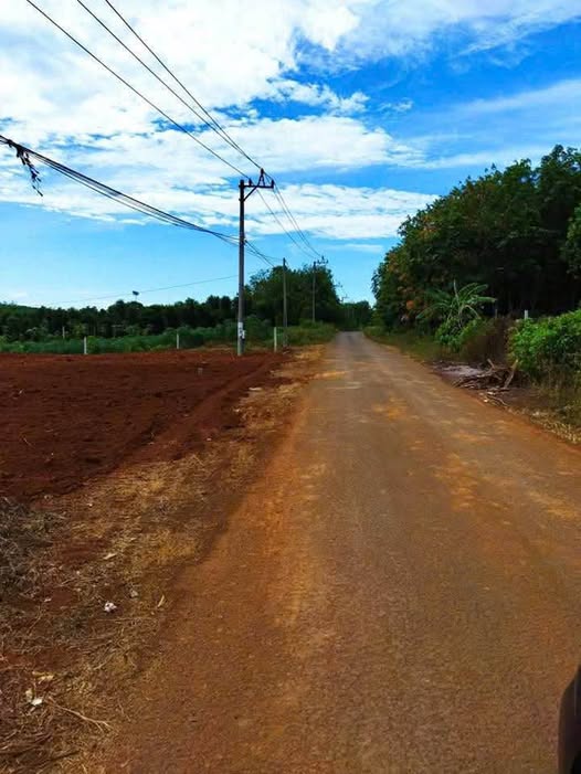 Đất nền Vĩnh Thái, Quảng Trị 195m² giá 200 triệu - Tiềm năng sinh lời cao!