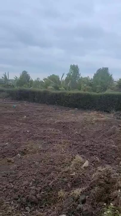 Đất thổ cư xã Ea Kao 825m² giá 825 triệu - View hồ tuyệt đẹp!