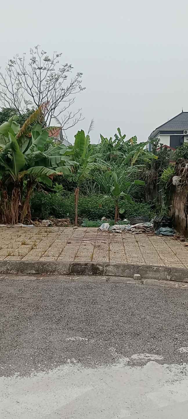 Đất nền Tổ 7 Lê Hồng Phong, TP Phủ Lý 90.5m² giá 2.1 tỷ - Đầu tư sinh lời ngay!