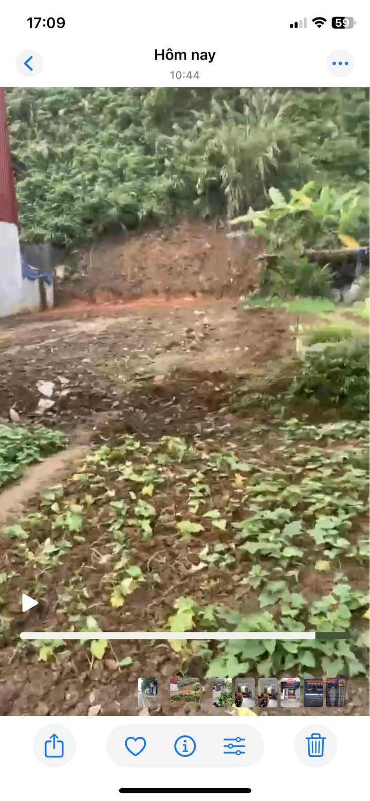 Đất mặt đường Trần Phú Lào Cai 100m² giá 3.5 tỷ - Đầu tư sinh lời ngay!