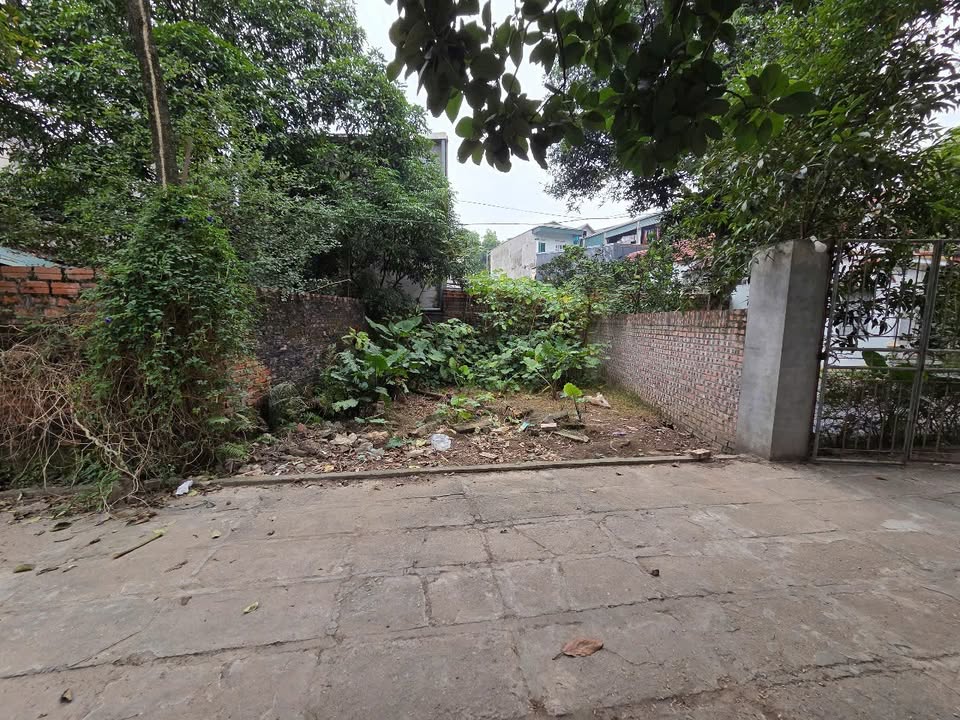 Đất nền đường Hùng Vương, Thị xã Phú Thọ 51.2m² giá chỉ 500 triệu - Cơ hội đầu tư hiếm có!