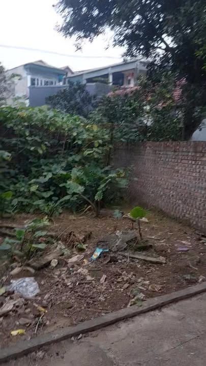 Đất nền Hùng Vương Phú Thọ 51,2m² giá chỉ 5xx triệu - Đầu tư sinh lời ngay!