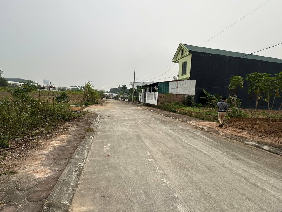 Đất thổ cư 300m² tại Thanh Đình, Việt Trì giá 2 tỷ - Tiềm năng đầu tư cao!