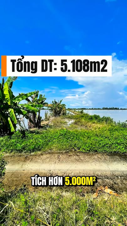 Đất Lúa 5 Công Thới Xuân Cờ Đỏ Cần Thơ 1.175 tỷ - Giá cực tốt, gần chợ!