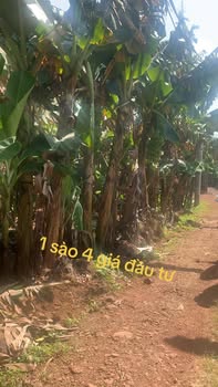 Đất nền Vĩnh Tân 1461m² giá 500 triệu - Cơ hội đầu tư sinh lời!