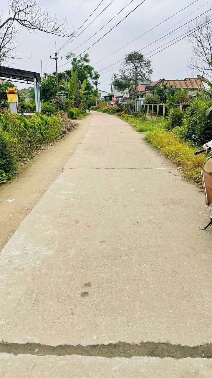 Đất nền Hải Thượng, Hải Lăng 150m² giá 100 triệu - Cơ hội đầu tư hấp dẫn!