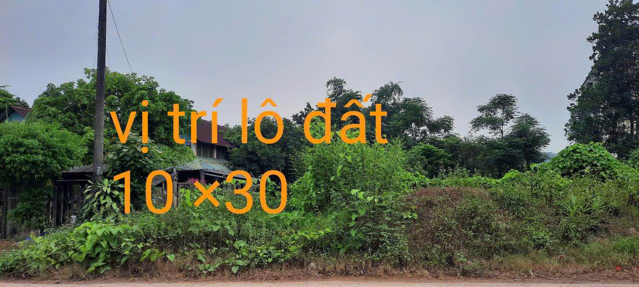 Đất thổ cư mặt tiền đường Lê Lợi, Hải Lăng 300m² giá 1.3 tỷ - Tiềm năng kinh doanh cao!