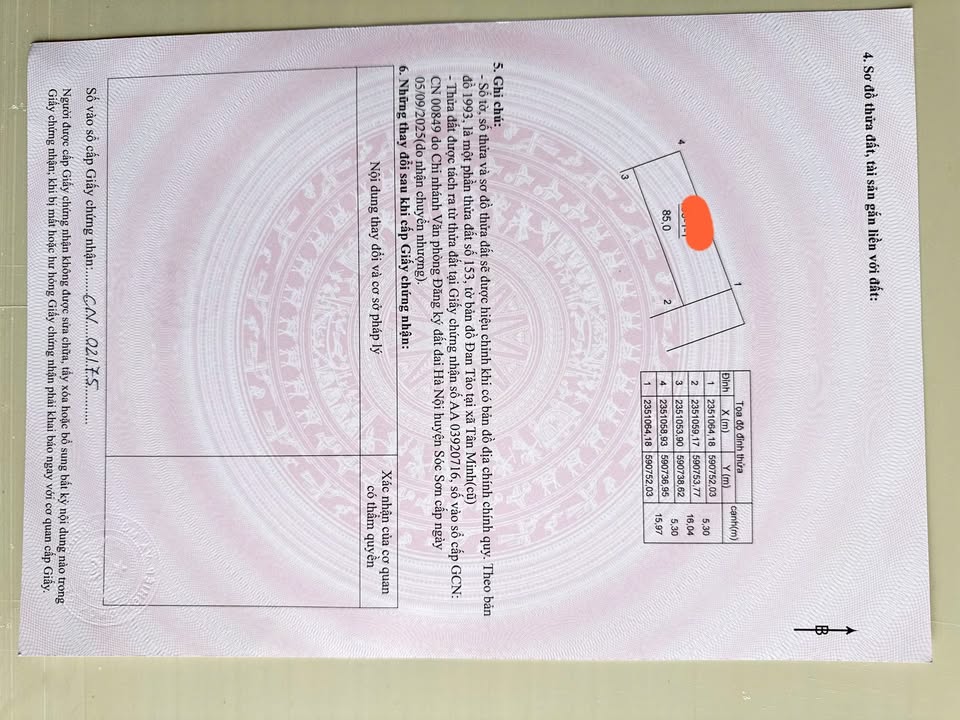 Đất thổ cư 85m² tại Tân Minh, Sóc Sơn - Giá chỉ 100 triệu, cơ hội đầu tư vàng!