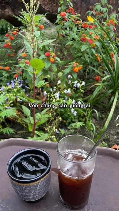 Đất nền 1000m² tại Phú Hoà, Định Quán chỉ 385 triệu - Cơ hội đầu tư hấp dẫn!