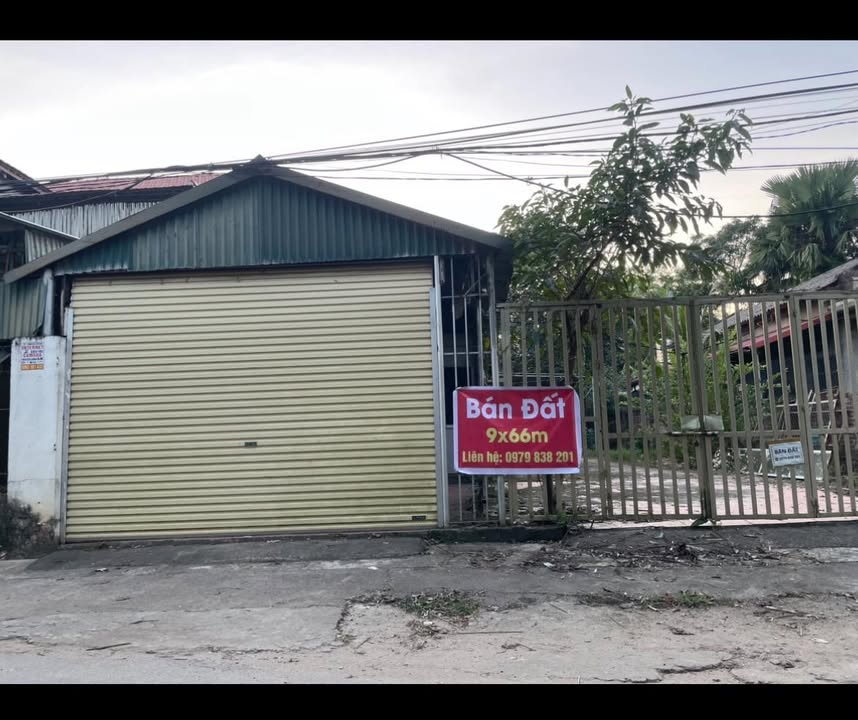 Đất chính chủ Tề Lễ, Tam Nông 603m² giá 1.4 tỷ - Đầu tư sinh lời ngay!