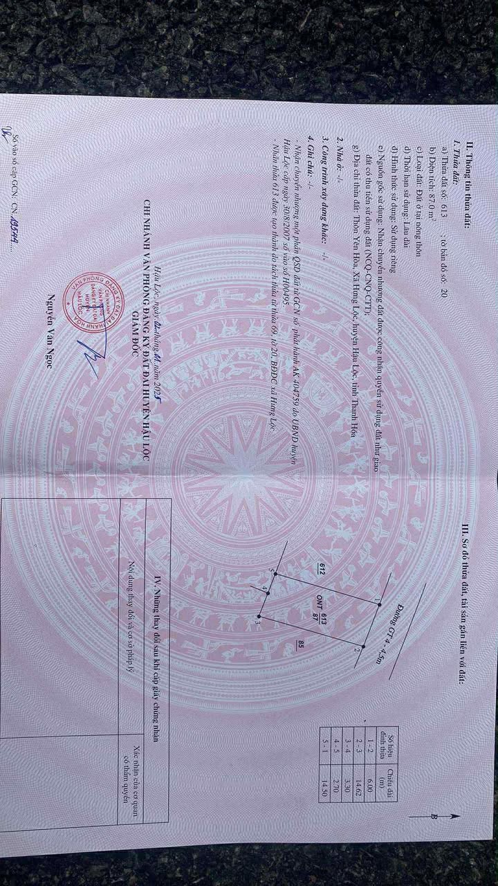 Đất nền Hưng Lộc, Hậu Lộc 117m² - Gần nhiều tiện ích, giá thỏa thuận!