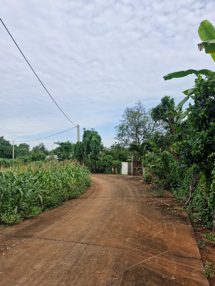 Đất nền Nghĩa Thành, Châu Đức, Bà Rịa - Vũng Tàu, 160m² giá chỉ 520 triệu - Đầu tư sinh lời tốt!