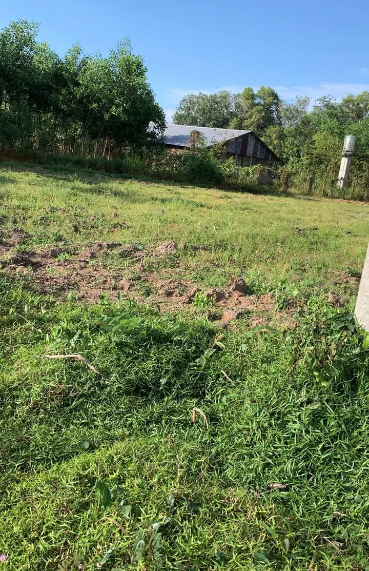 Đất nền Đồng Khởi, Châu Thành, Tây Ninh 1260m² giá 220 triệu - Cơ hội đầu tư hấp dẫn!