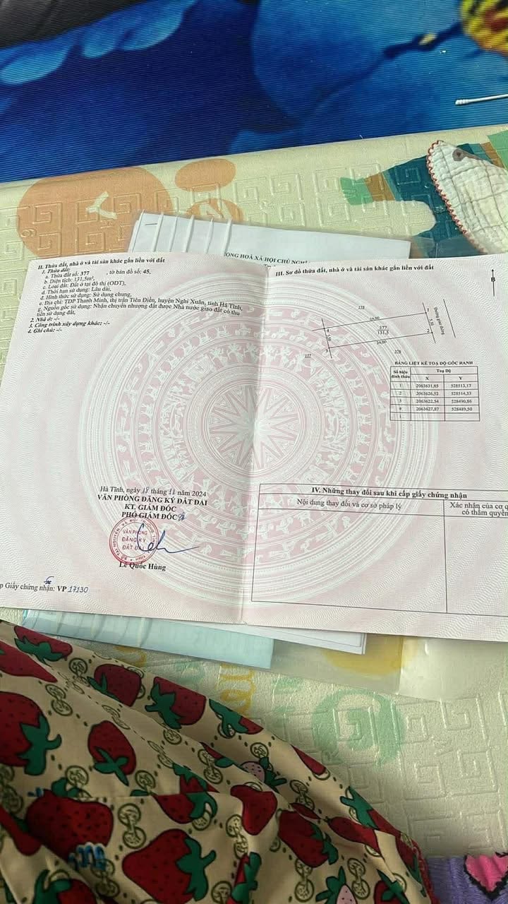 Đất thổ cư thôn Minh Quang, xã Tiên Điền 132m² giá 1.1 tỷ - Cơ hội đầu tư hấp dẫn!