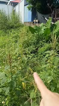 Nhà riêng tại Quảng Thanh, Thủy Nguyên 71m² giá 1.1 tỷ - Vị trí đắc địa, ô tô vào tận nơi!