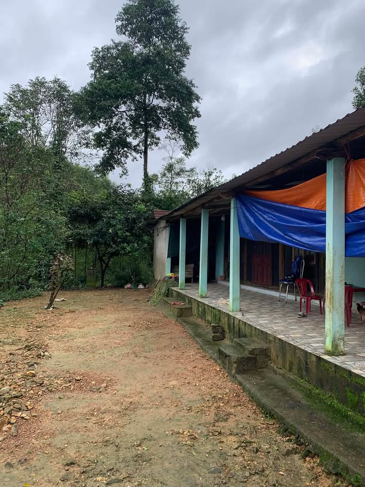 Đất nền Thủy Xuân 1000m² giá 2 tỷ - Đầu tư sinh lời ngay!