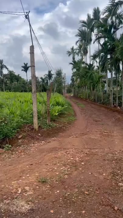 Đất thổ cư Phú Xuân Krông Năng 968m² giá 9x triệu - Lô góc 2 mặt tiền đẹp!