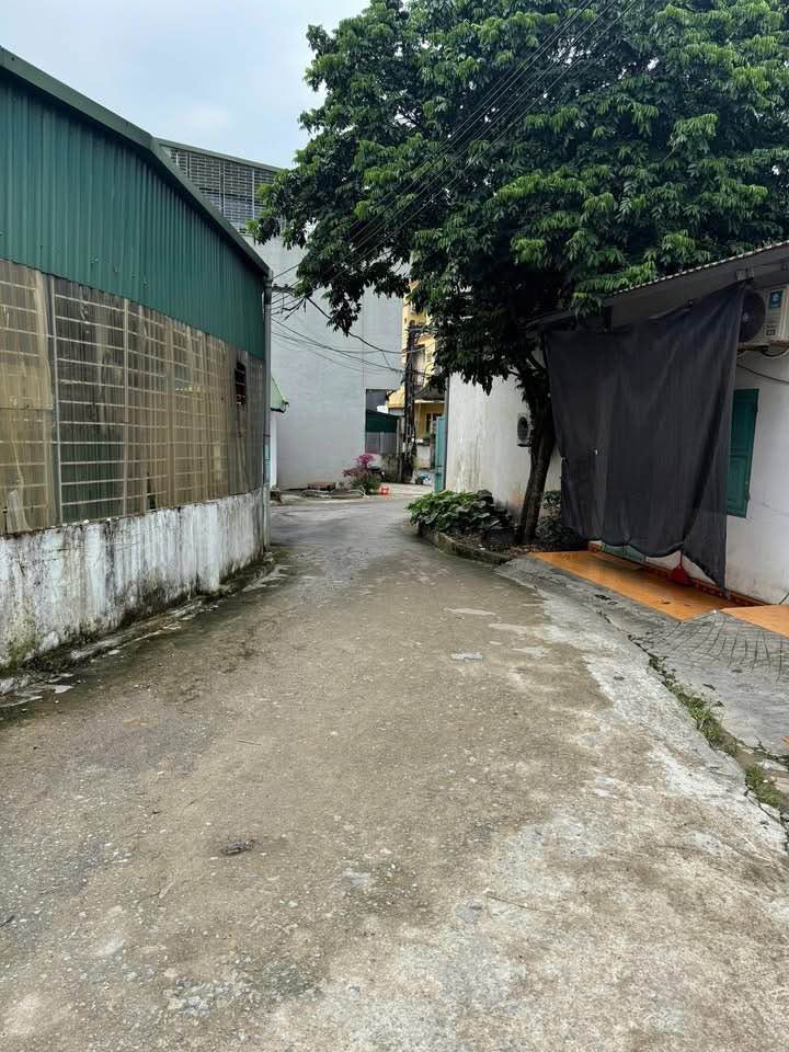 Đất nền chính chủ phường Nguyễn Trãi 84m² giá 1 tỷ - Cơ hội đầu tư tuyệt vời!