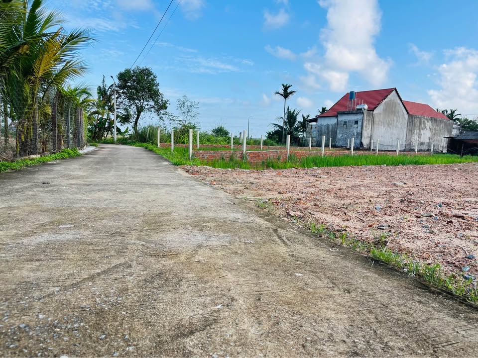 Đất vườn Nghĩa Dõng, Quảng Ngãi 300m² giá 1.3 tỷ - Đầu tư lý tưởng cho biệt thự nghỉ dưỡng!