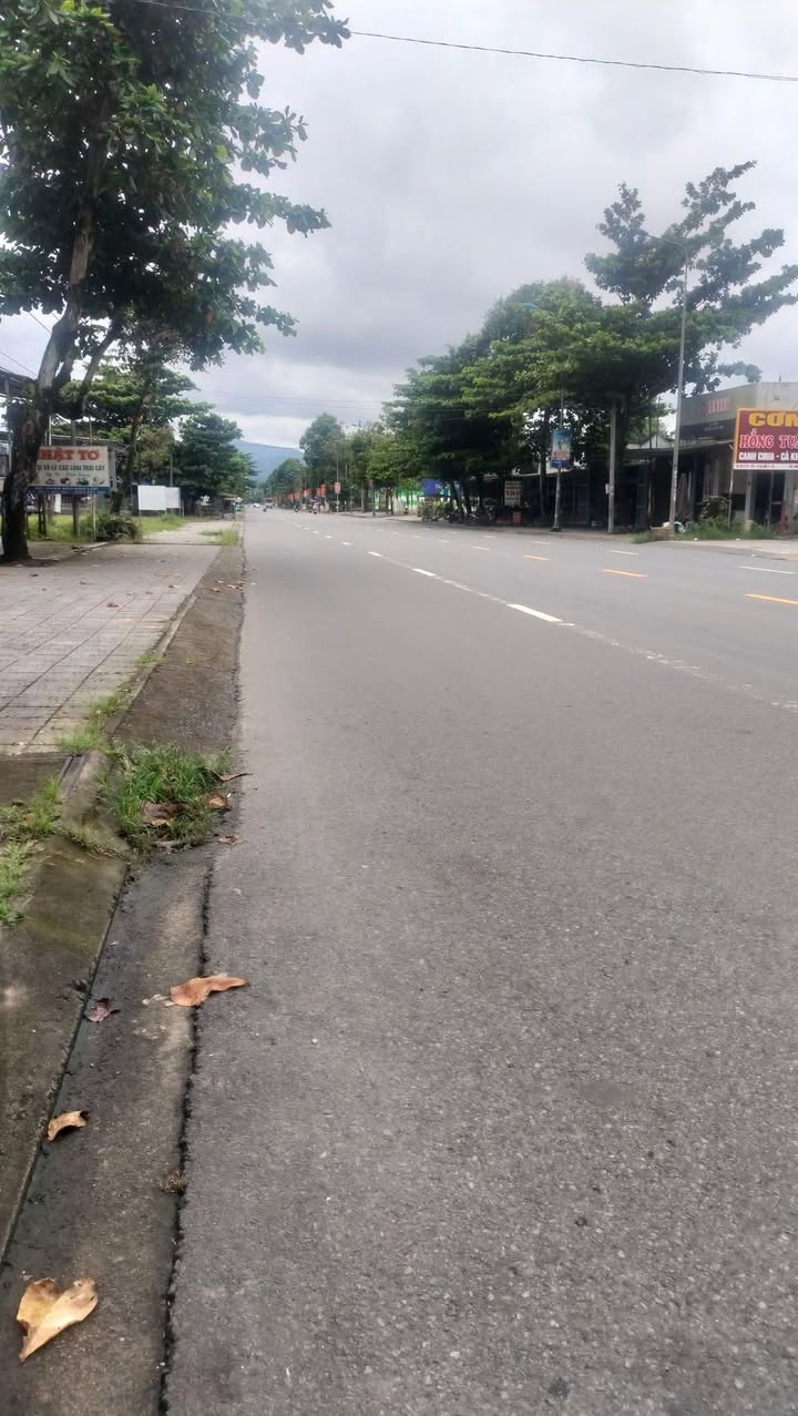 Đất mặt tiền Quốc Lộ 20, Đạmbri, 3366m² giá chỉ 11.78 tỷ - Cơ hội đầu tư hấp dẫn!