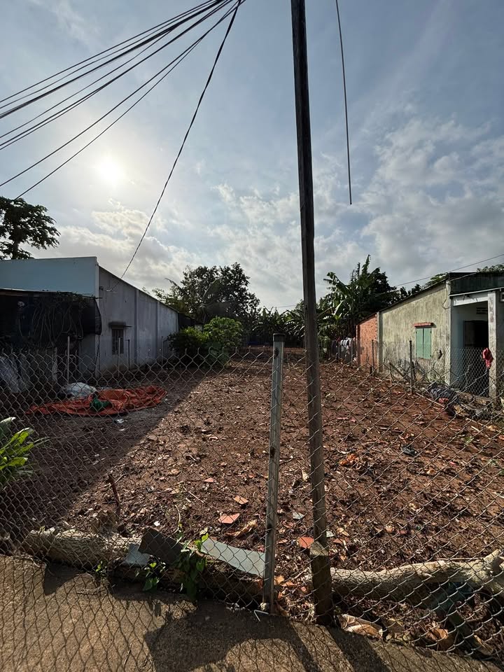 Đất nền Thị Trấn Đất Đỏ 534m² giá 1.65 tỷ - Cơ hội đầu tư tuyệt vời!