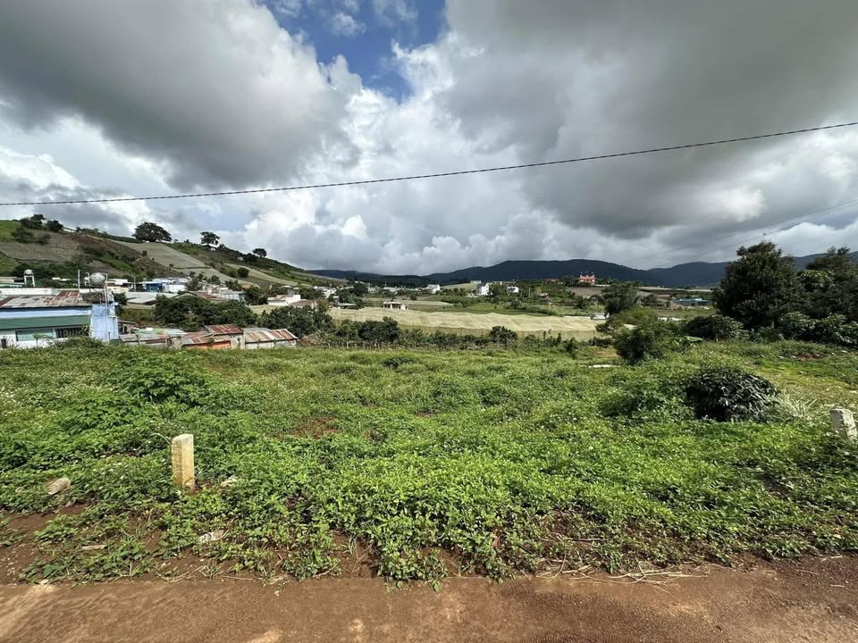 Đất nền Quảng Lập 869m² giá 800 triệu - Sổ riêng, ô tô vào tận nơi!