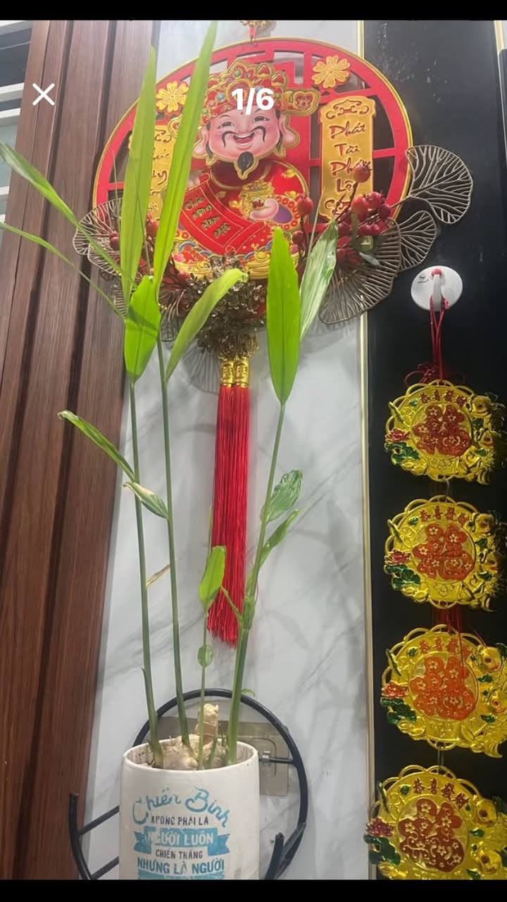 Nhà phố Tô Hiến Thành, 60m² giá 3 tỷ - Khu dân cư an ninh, tiện ích đầy đủ!