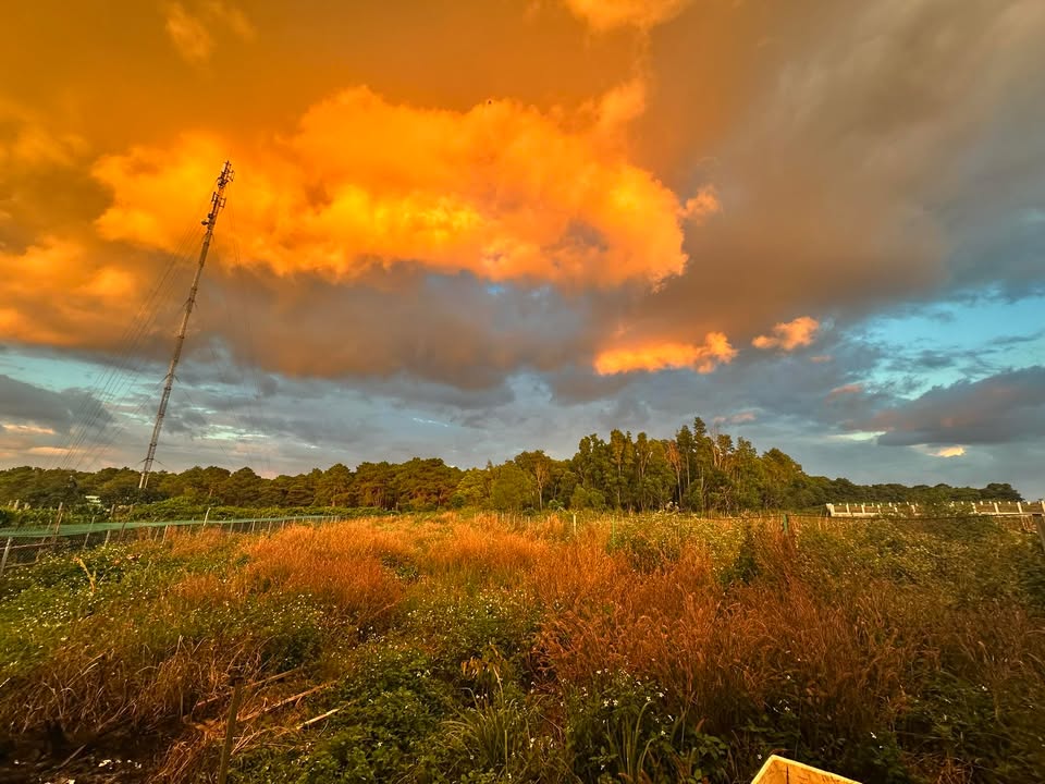 Nhà chính chủ 293 Trần Phú, Pleiku 243m² giá 4 tỷ - Đầu tư sinh lời!