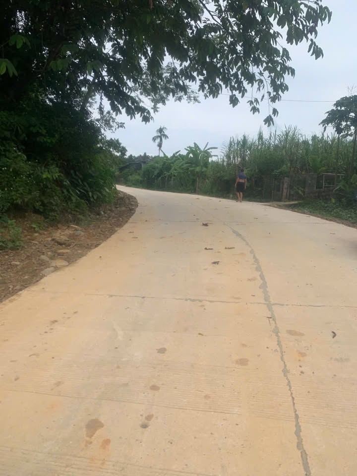 Đất thổ cư Hợp Phong, Cao Phong 700m² giá 900 triệu - Cơ hội đầu tư hấp dẫn!