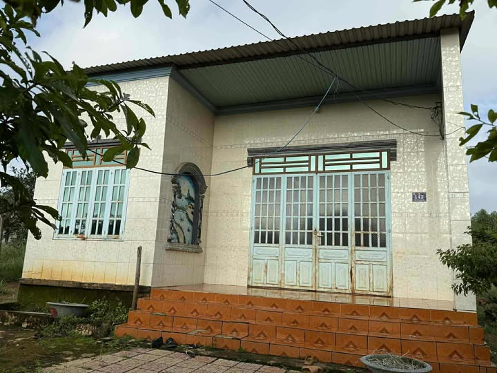 Nhà riêng 3 phòng ngủ tại Đồng Xoài 504m² giá 1.2 tỷ - Mặt tiền đắc địa!