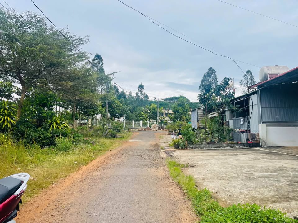 Đất nền Nghĩa Tân, Gia Nghĩa 240m² giá 1.7 tỷ - Đầu tư sinh lời ngay!