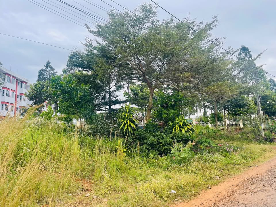 Đất nền phường Nghĩa Tân - 288m² chỉ 2 tỷ - Cơ hội đầu tư hấp dẫn!