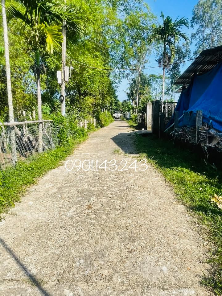 Đất nền An Phú Tam Kỳ 210m² giá 790 triệu - Gần nhà văn hóa KP Ngọc Nam!