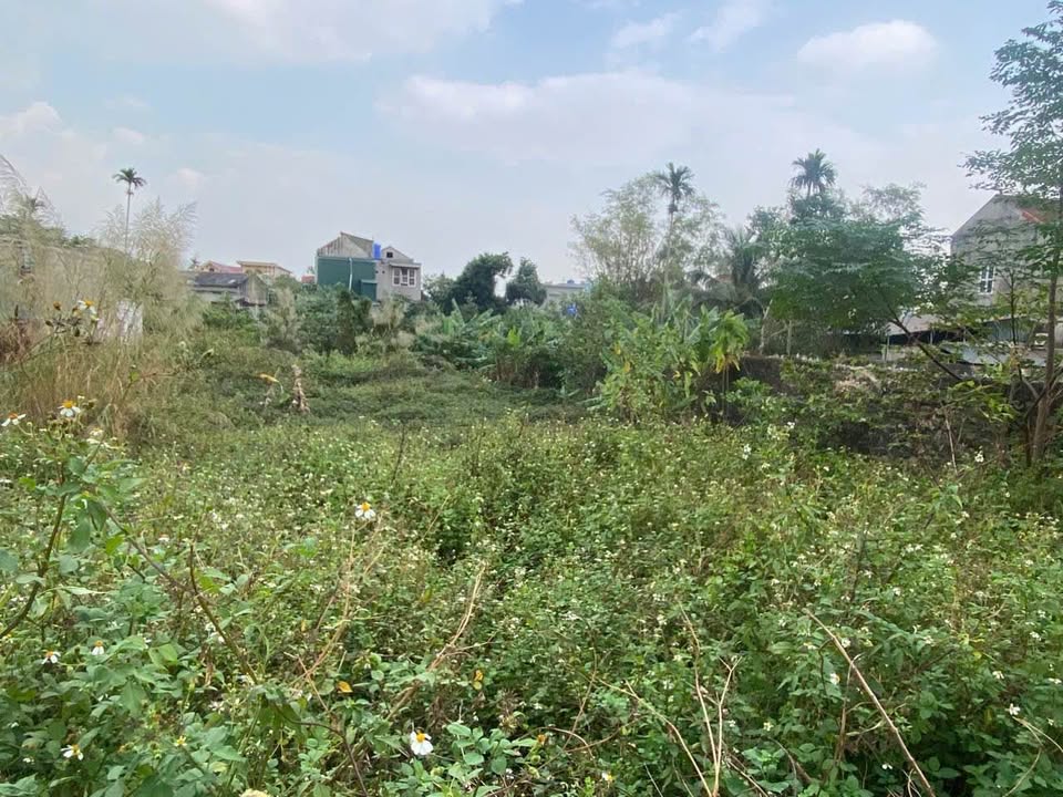 Đất nền Yên Sơn, Yên Thọ, Đông Triều 276m² - Chính chủ cần bán gấp!