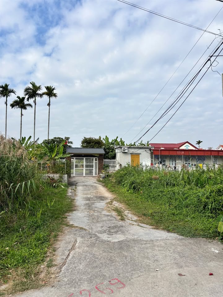 Đất nền 90 m² tại Minh Đức, Đồ Sơn - Giá chỉ 1.5 tỷ, tiềm năng đầu tư lớn!