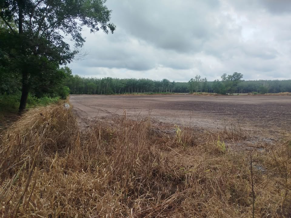 Đất Thạnh Tây Tân Biên 28000m² giá 2.7 tỷ - Cơ hội đầu tư sinh lời!