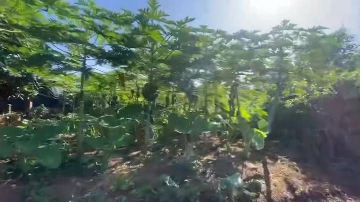 Đất mặt tiền kinh doanh đường nhựa 218.2m² tại xã Hòa Long - Giá 3.3 tỷ