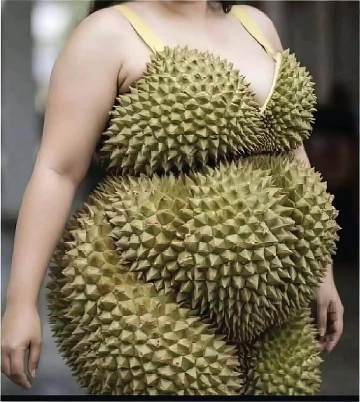 Đất nền đường Đoan Tĩnh, phường Hải Yên, 96m² giá 2 tỷ - Vị trí vàng cho kinh doanh!