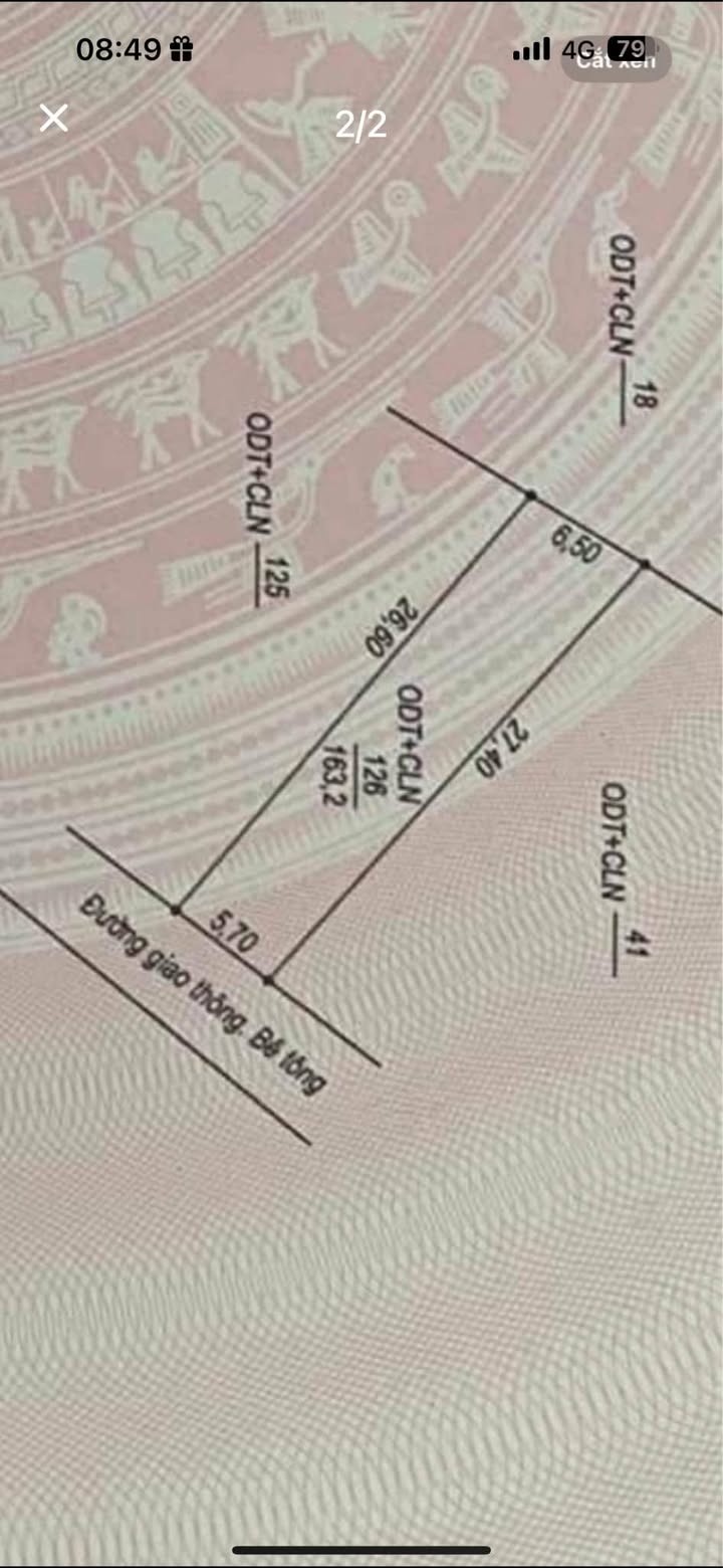 Đất nền Nam Lý Đồng Hới 163m² giá 1 tỷ - Đường ô tô vào tận nơi!