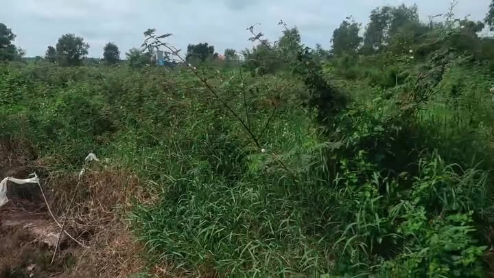 Đất nền xã Bắc Hòa, Tân Thạnh, Long An 8610m² - Giá chỉ 1.8 tỷ, cơ hội đầu tư tuyệt vời!